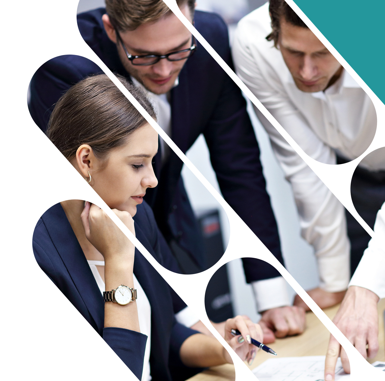 Studii de mediu și DNSH