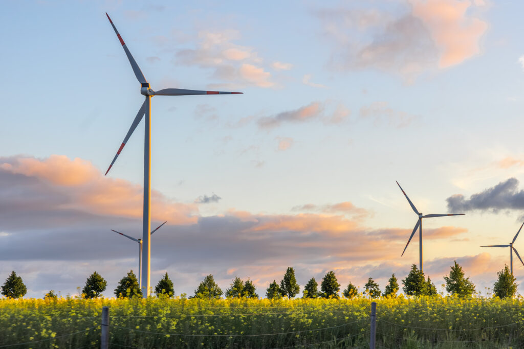 Energie verde: investiții sustenabile prin DR 12